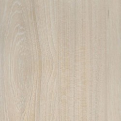 Kronospan 6596 ВS Вяз Благородный светлый 10мм