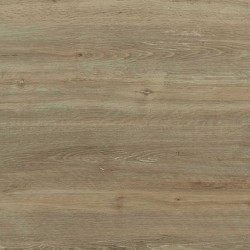 Кутовий сегмент L153 Дуб Лестер 900х900